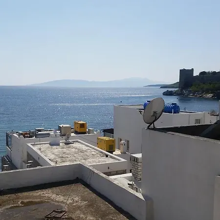 汽车旅馆 Gardenya 3*